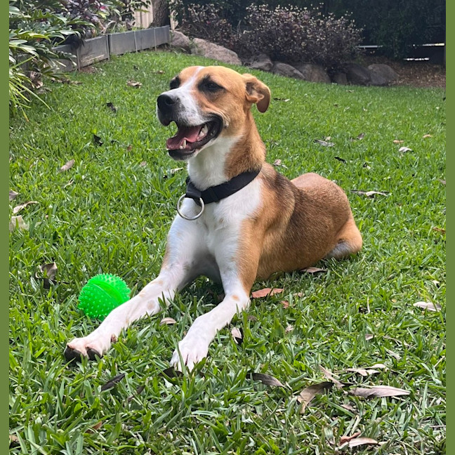 Photo of Leela