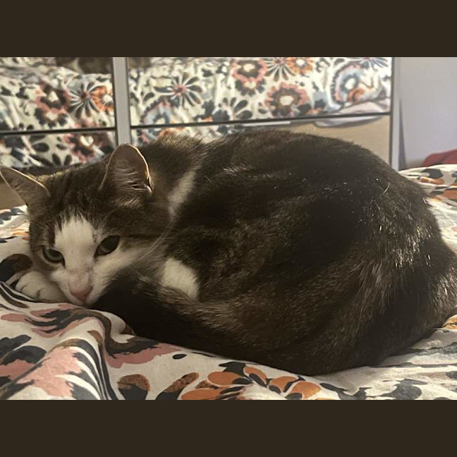 Photo of Esmerelda