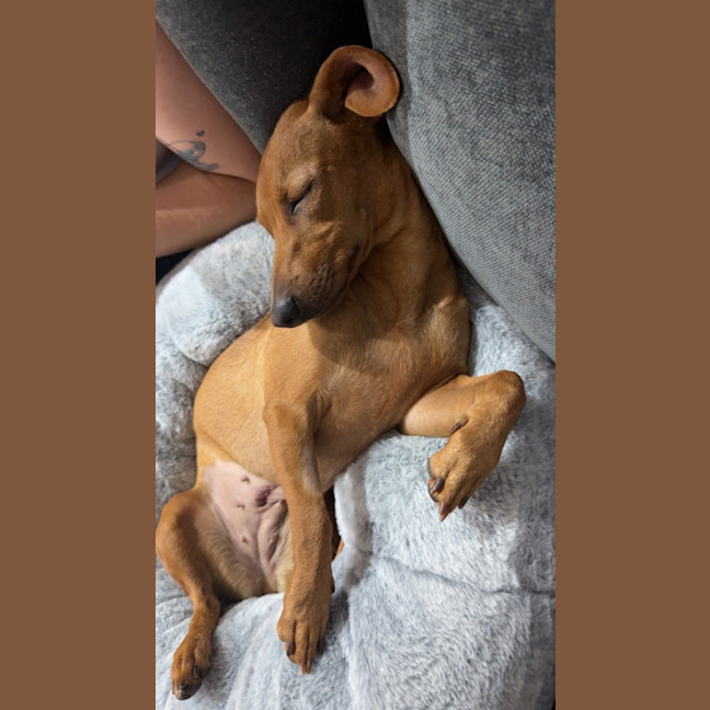 Photo of Daisy