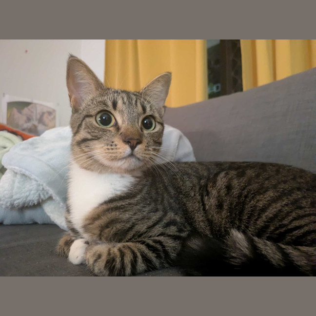 Photo of Lilo