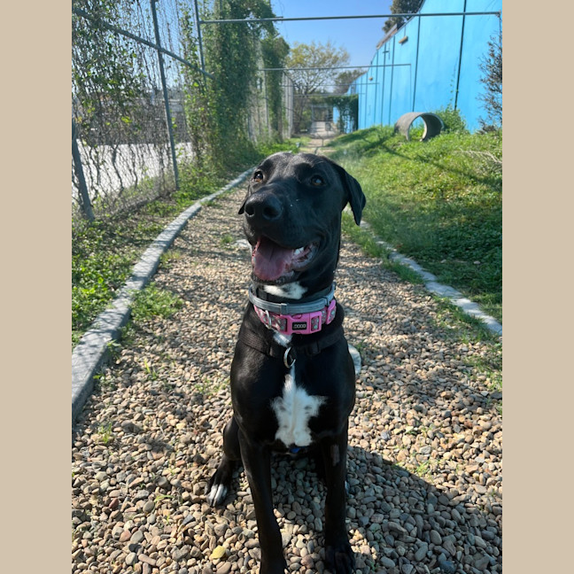 Photo of Athena