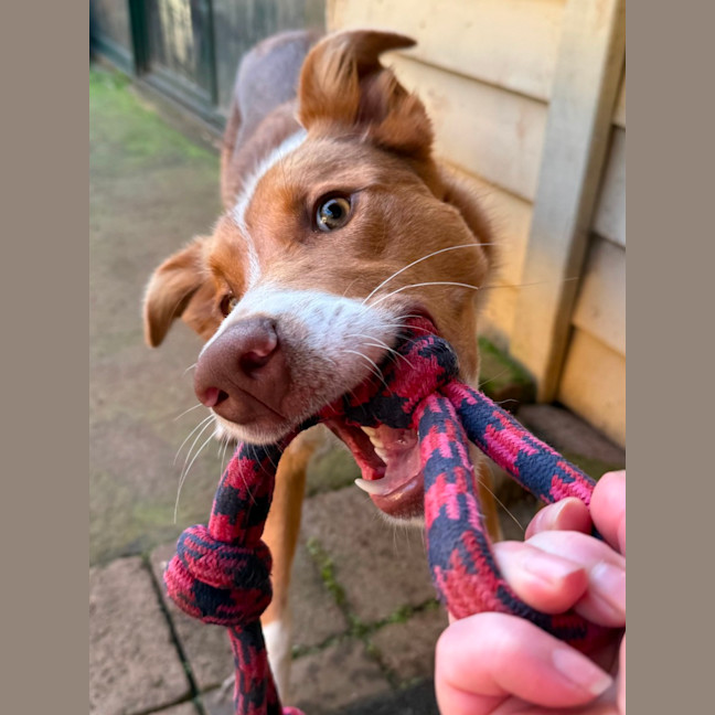 Photo of Jett