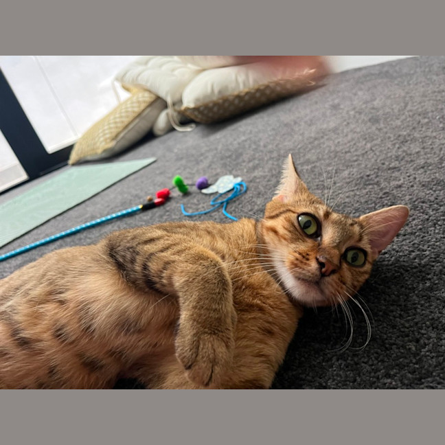 Photo of Sage
