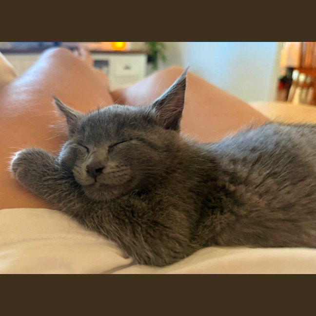 Photo of Asher