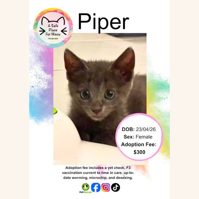 Photo of Piper