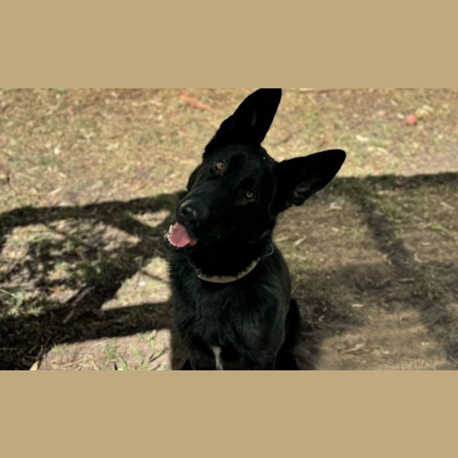 Photo of Storm