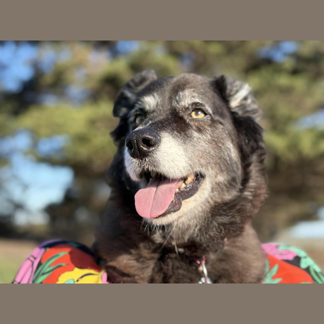 Photo of Susie