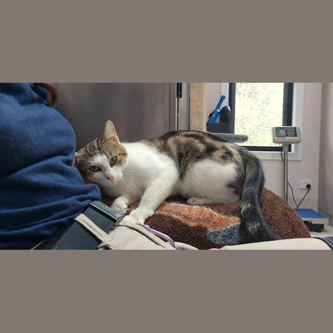 Photo of April (9172)