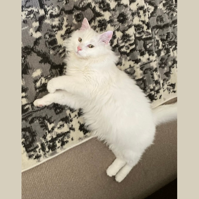Photo of Hudson