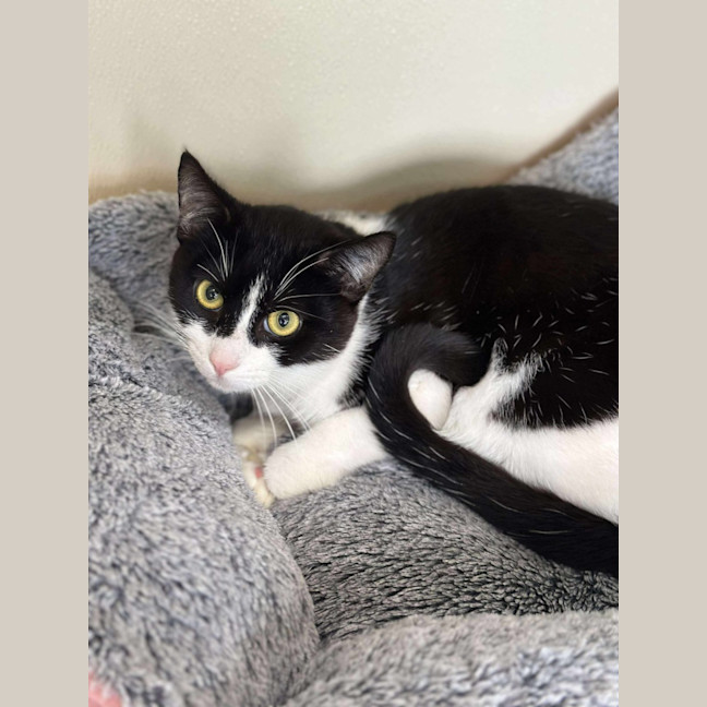 Photo of ⚓ Albie 6597 ⚓ 