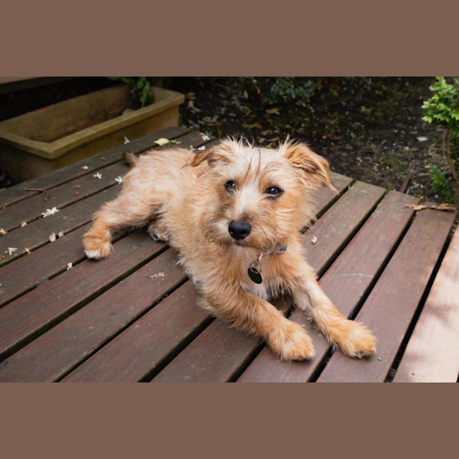 Photo of Albie Valenti