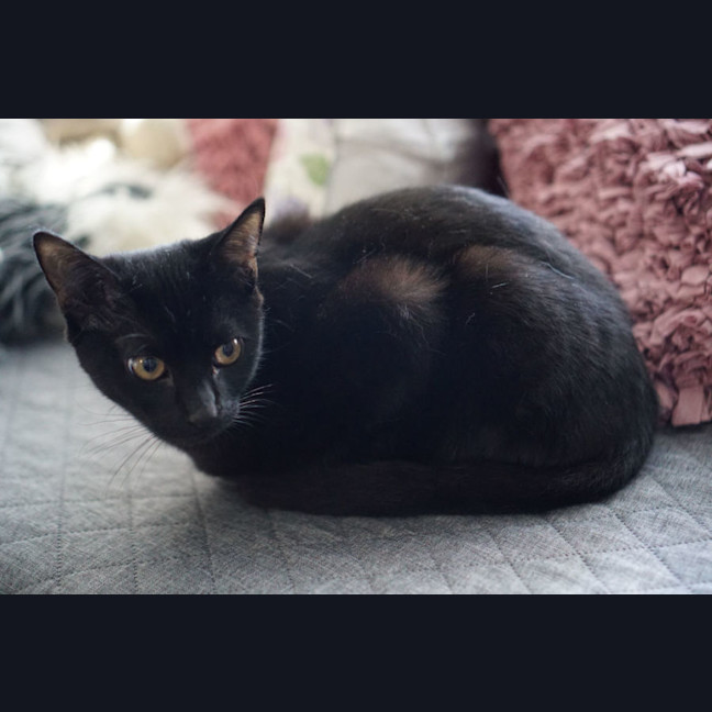 Photo of Klaus