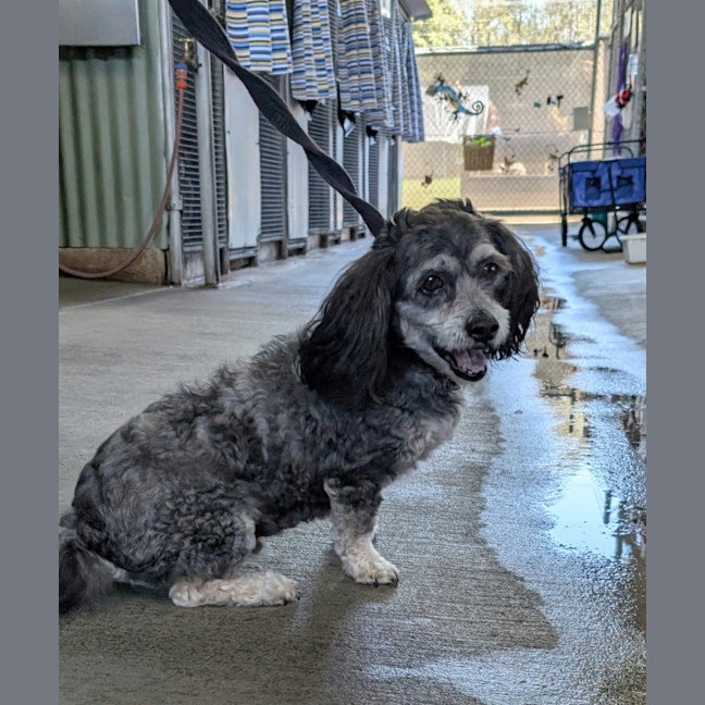 Photo of Max