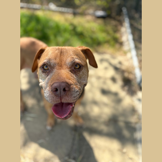 Photo of Nelly