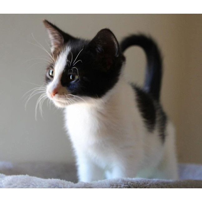 Photo of 13385   Mary Moo