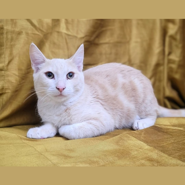 Photo of Rudolph 🦌