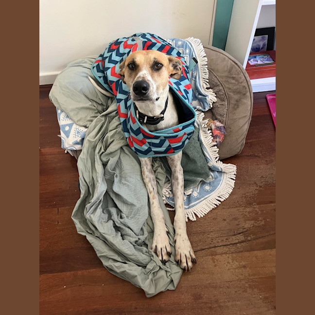 Photo of Jeena (Precious)