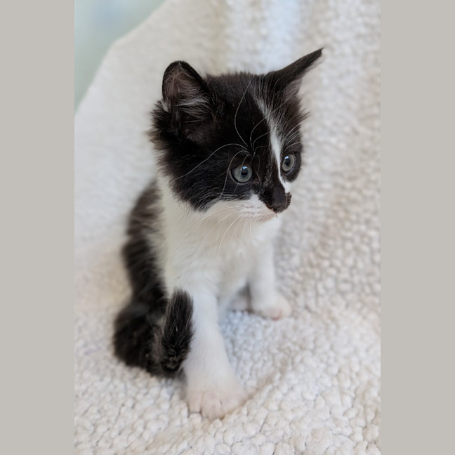 Photo of Jelly Beans