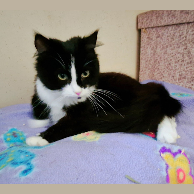 Photo of Betsy