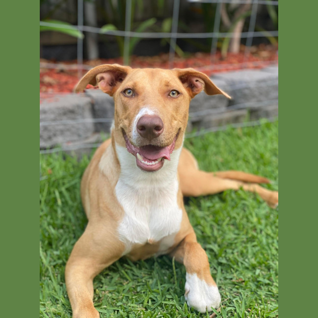 Photo of Matilda