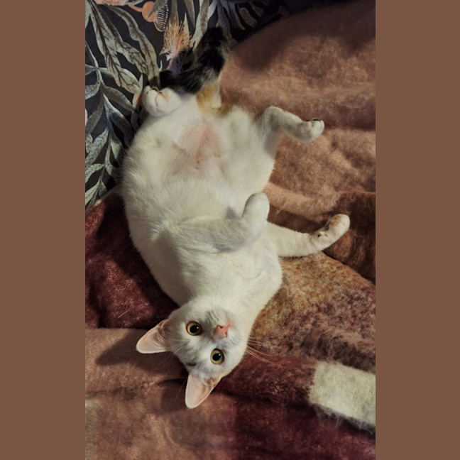 Photo of Ellie