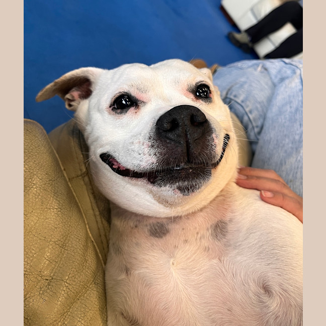 Photo of Princess Zelda