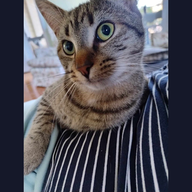 Photo of Oliver