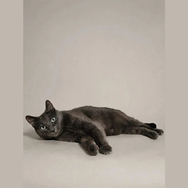 Photo of Max