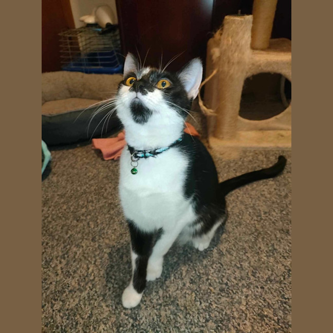 Photo of Axel