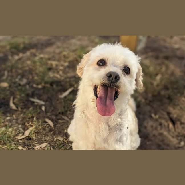 Photo of Ruby