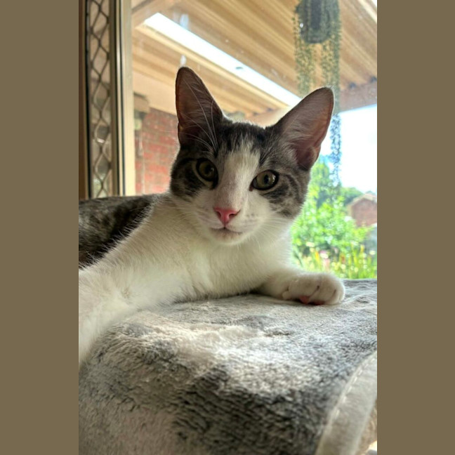Photo of Albie