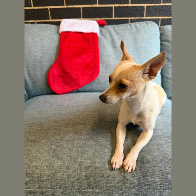 Photo of Miss Stevie