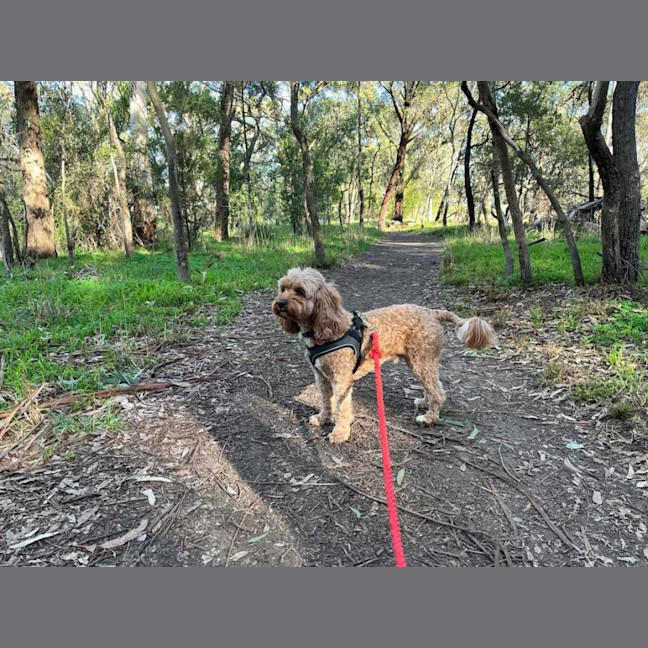 Photo of Winston Quinell