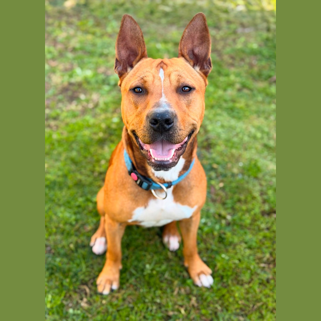Photo of Reuben
