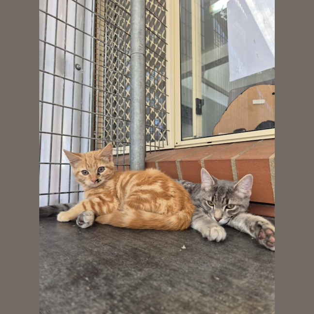 Photo of Autumn! 🍁