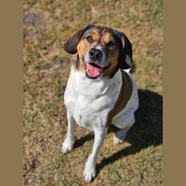 Photo of Hunter