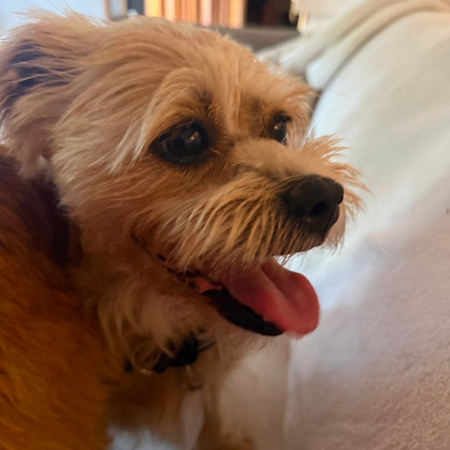 Photo of Motzy And Buddy.