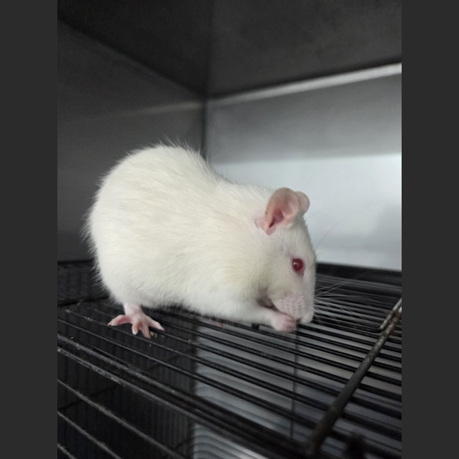 Photo of Stuart