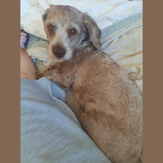 Photo of Teddy
