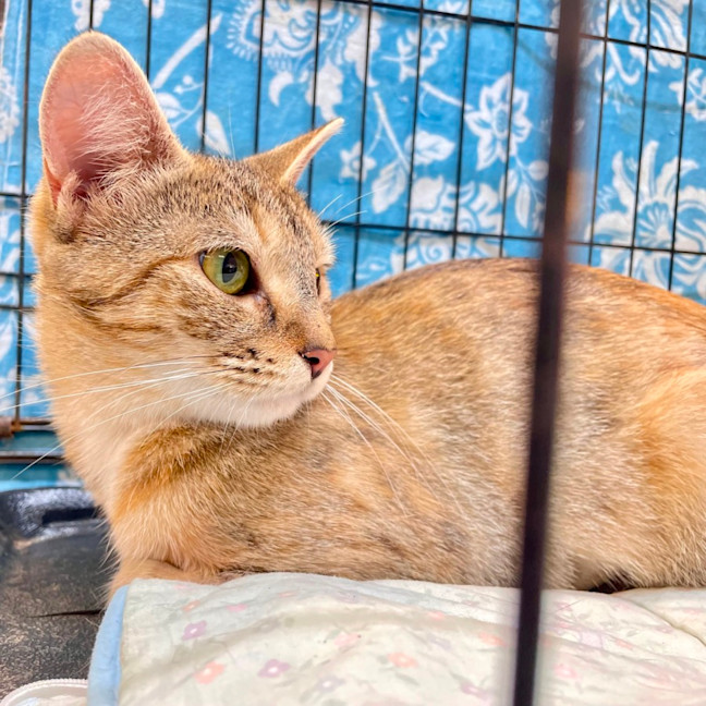 Photo of Mia