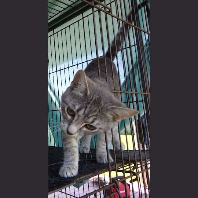 Photo of Brooke And Bruce