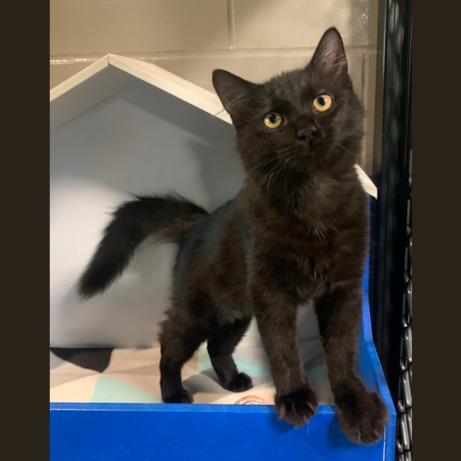 Photo of Marley Zane