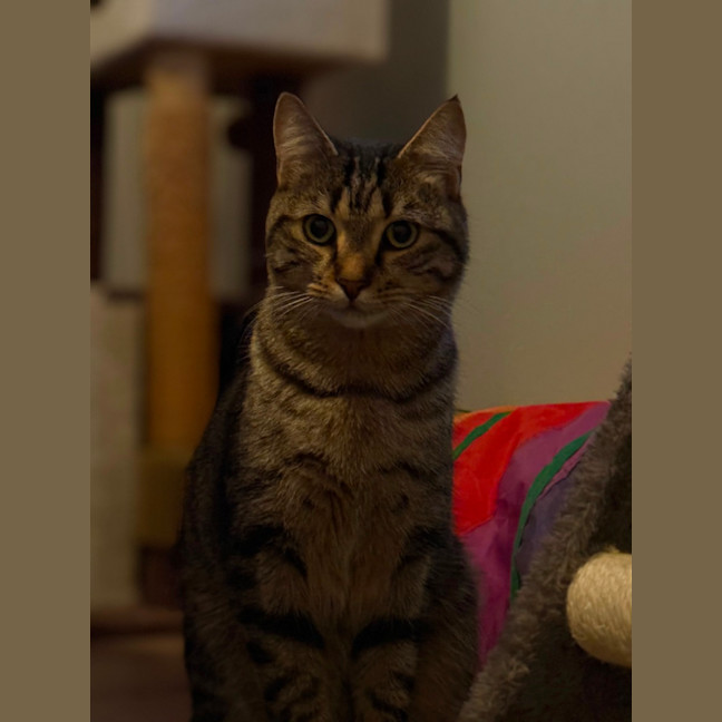 Photo of Charlie 