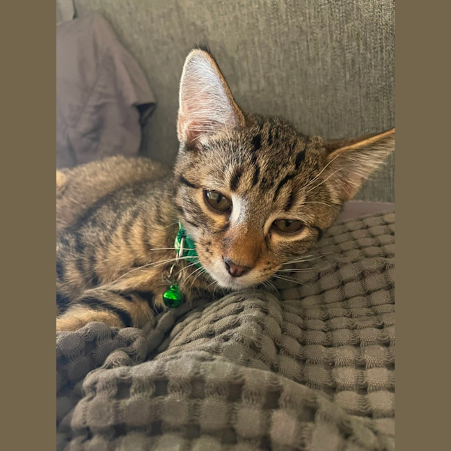 Photo of Finn