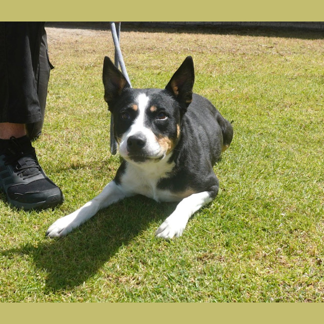 Photo of Tia