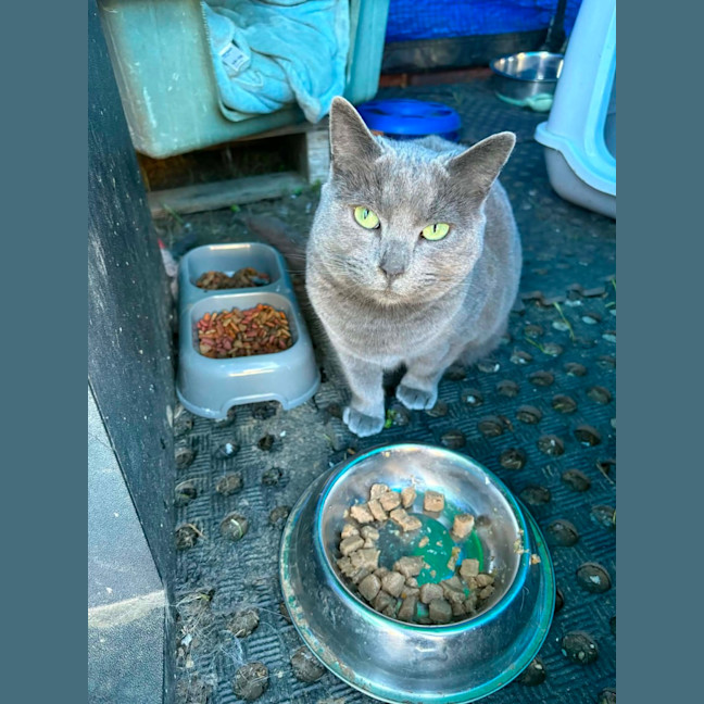 Photo of Maggie