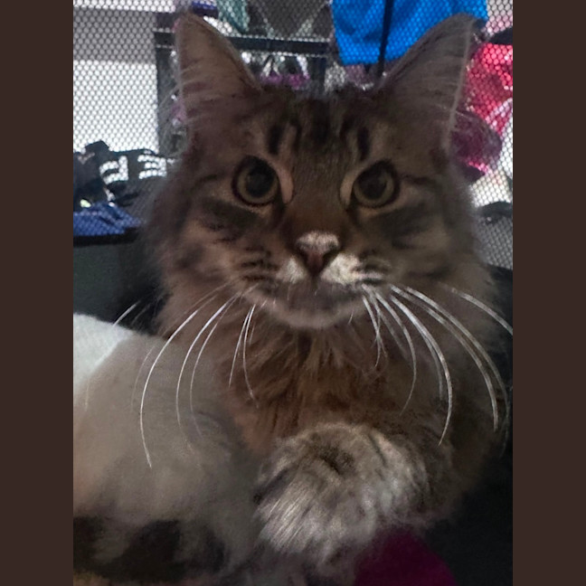 Photo of Lonny 
