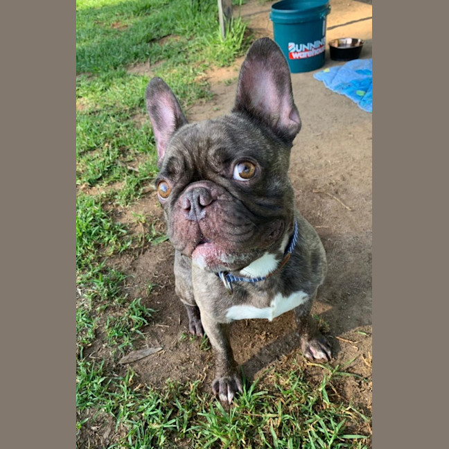 Photo of Elmer
