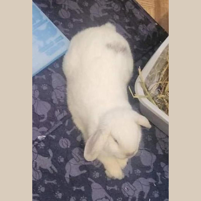 Photo of Youthful Clyde