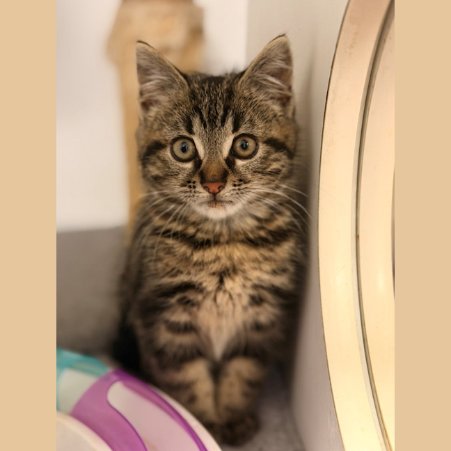 Photo of Fritz